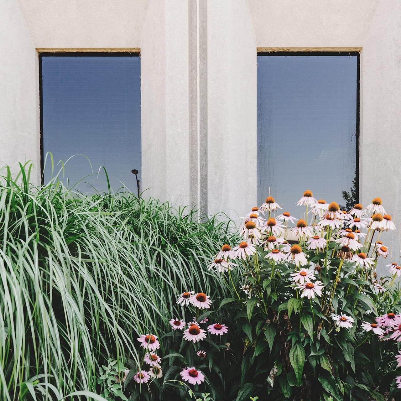 garden4_pic18 garden4_pic18