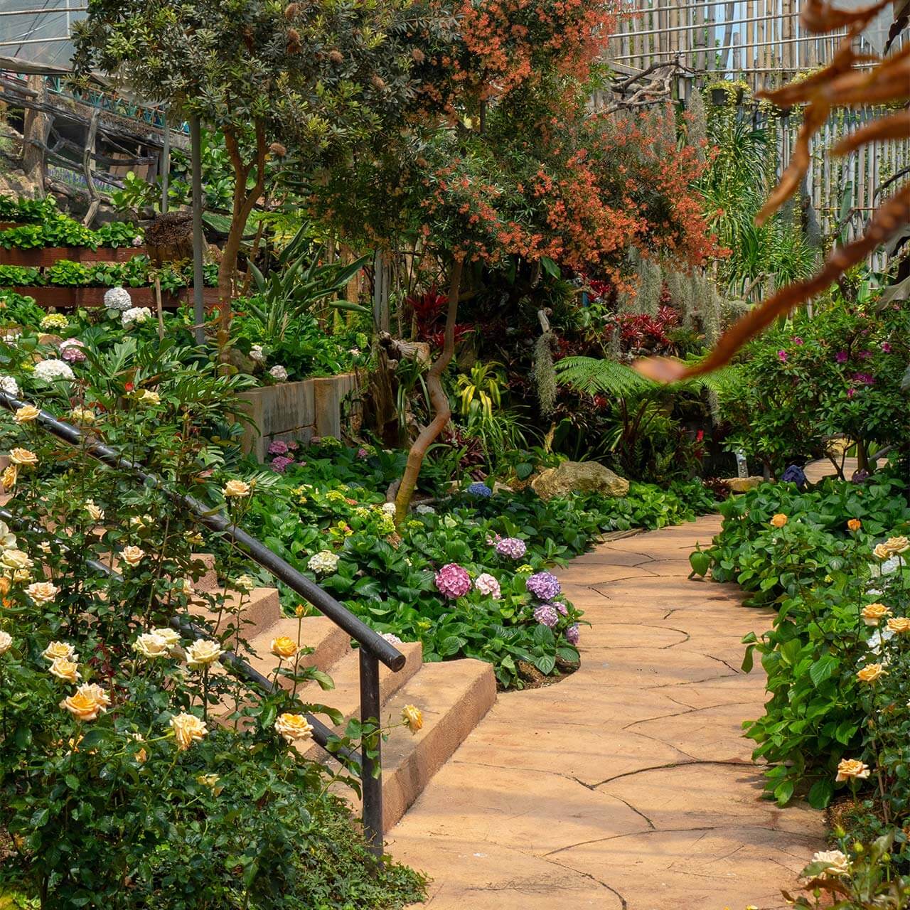 garden4_pic22 garden4_pic22